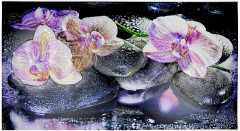 Панель ПВХ 600х1000 мм Фартук-панно Орхидеи на камне