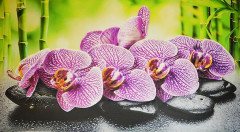 Панель ПВХ 600х1000 мм Фартук-панно Орхидея Ванда