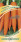 Семена Морковь Мармелад оранжевый 2,0г H17 (1912237817)