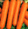 Морковь гранулир. Настена 300 шт. гель